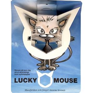 Musefælde Lucky Mouse plast
